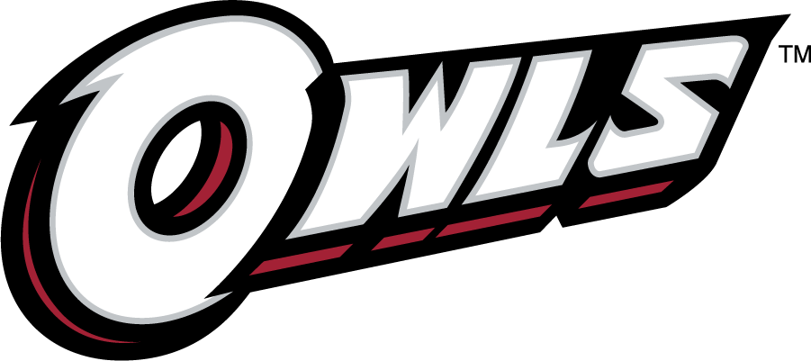 Temple Owls 2014-2020 Wordmark Logo v5 DIY iron on transfer (heat transfer)